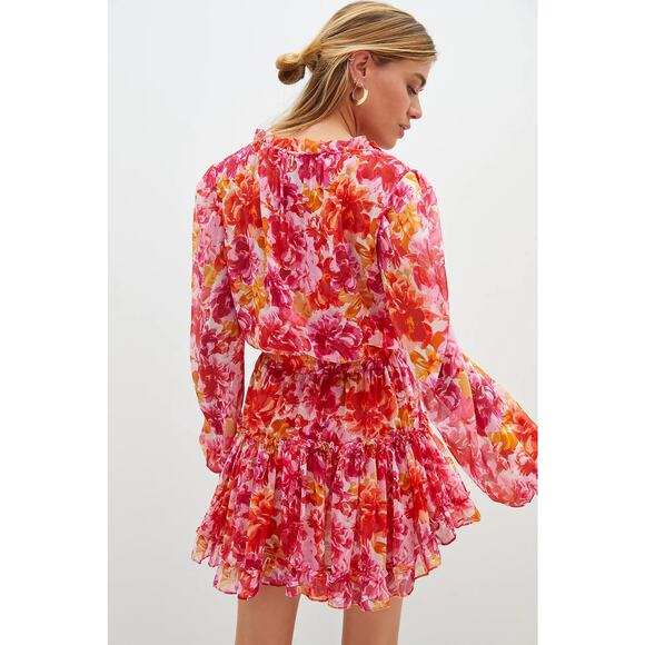 Misa Clementine Dress Floral Burst - Picture 4 of 11